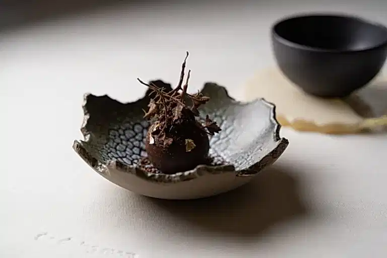 web dish 5