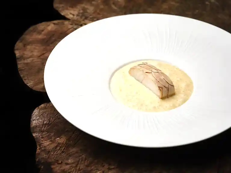 turbot1590315903_small