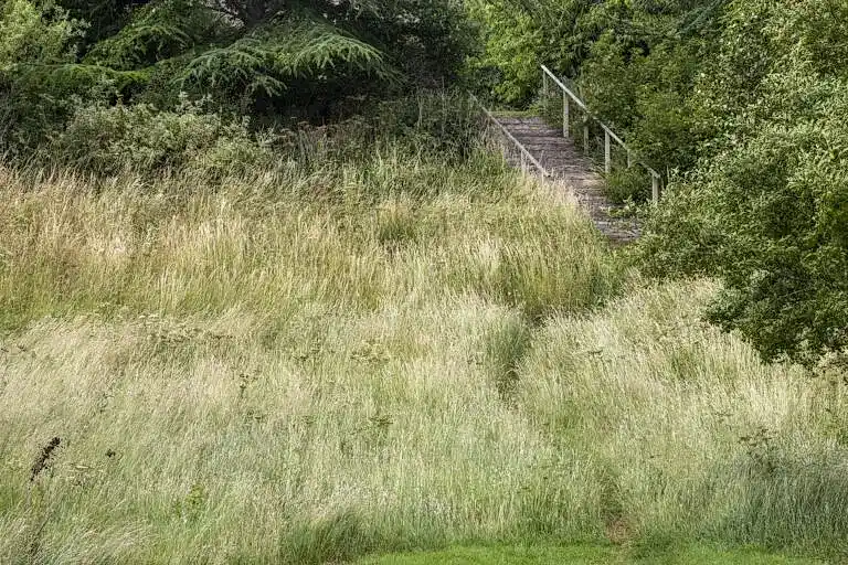 13. Wildflower Meadow
